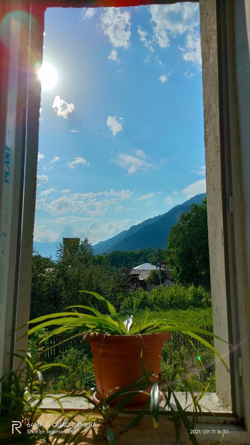 Shaulini Hotel Kashveti Kültér fotó