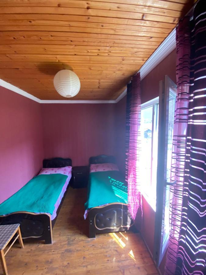 Shaulini Hotel Kashveti Kültér fotó