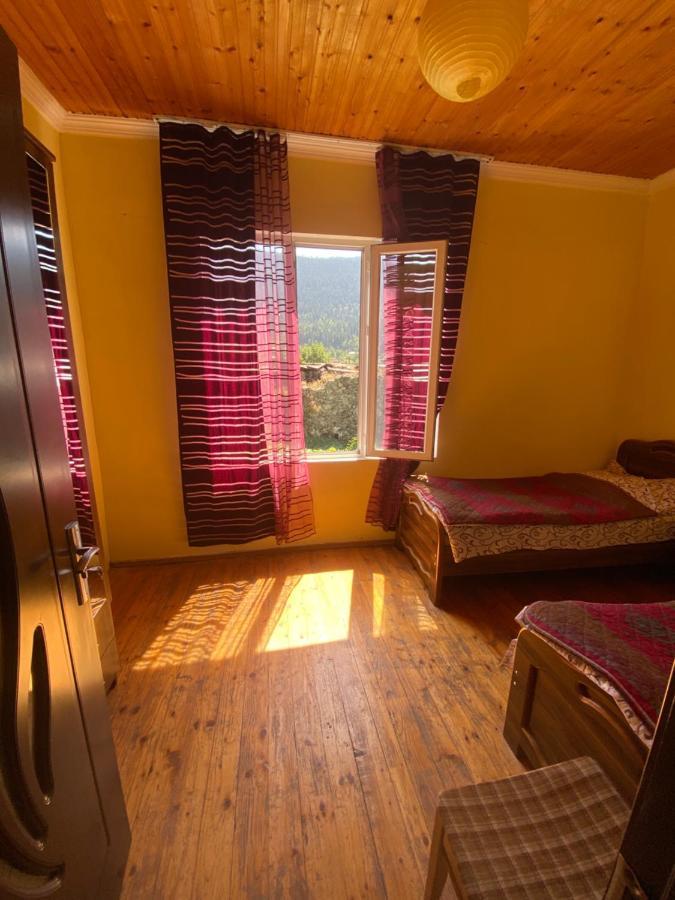 Shaulini Hotel Kashveti Kültér fotó